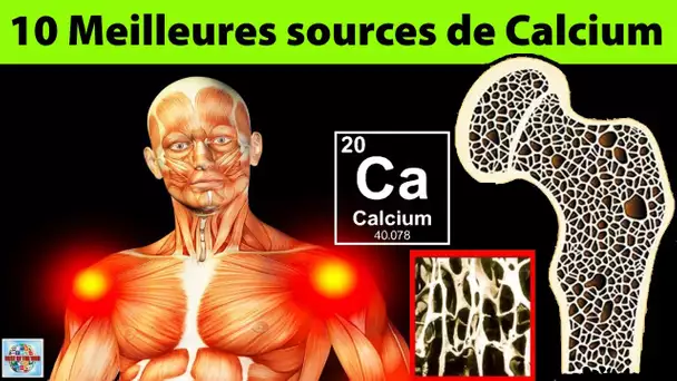 10 Aliments riches en calcium à manger tous les jours