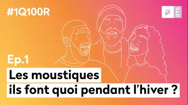 Ils font quoi les moustiques en hiver ? (E01) : 1 Question 100 Réponses | RTS Podcasts