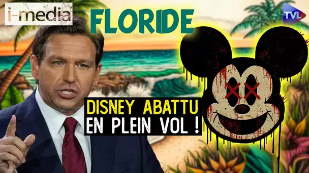 [Sommaire] I-Média n°433 - Victoire par KO de Ron DeSantis sur Disney