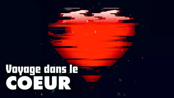 💓 Le coeur un compte à rebours ?