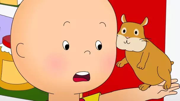 Caillou et L'animal de Compagnie | Caillou en Français