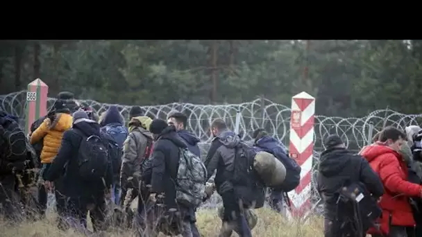 Crise migratoire en Biélorussie : l'UE obtient des "progrès" malgré les vives tensions