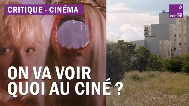 Cinéma : "After Blue" de Bertrand Mandico et "Nous" d'Alice Diop
