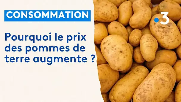 Pourquoi le prix des pommes de terre augmente ?