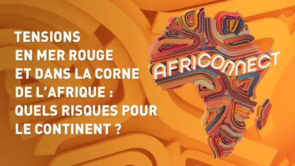 TENSIONS EN MER ROUGE ET DANS LA CORNE DE L’AFRIQUE : QUELS RISQUES POUR LE CONTINENT ?
