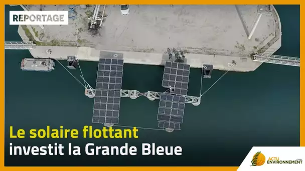 Le solaire flottant investit la Grande Bleue