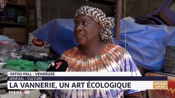 Sénégal : La vannerie, un art écologique