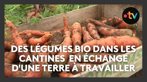Mougins : un agriculteur fournit les cantines scolaires en échange d'un terrain gratuit