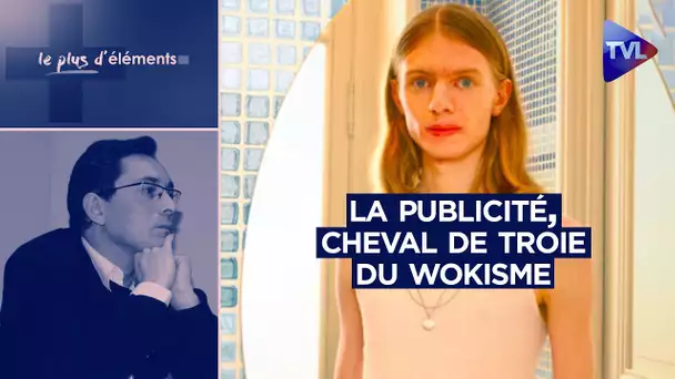 La publicité, cheval de Troie du wokisme - Le plus d’Éléments - TVL