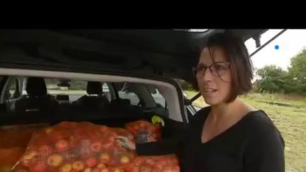 Au Moustoir (29) le jus de pomme en mode drive
