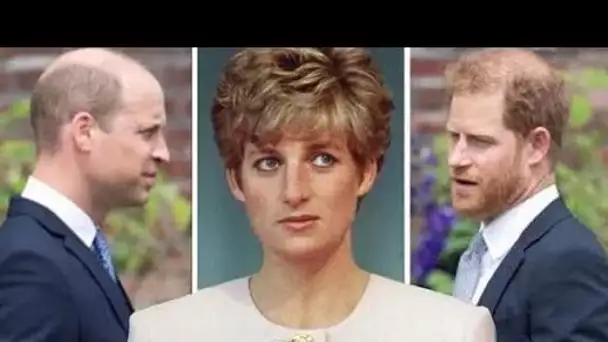 Diana a essayé de "protéger" Harry et William de l'héritier et d'épargner des "étiquettes": "Troublé