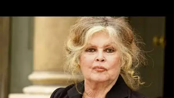 Brigitte Bardot mourante, le covid-19 en cause
