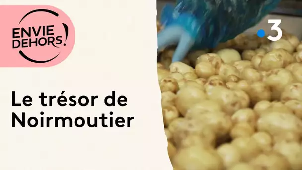 La bonnotte, la pomme de terre d'exception de l'île de Noirmoutier