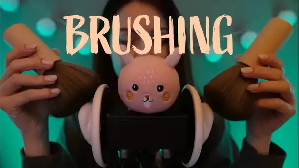 ASMR | Brushing pour vos oreilles 😴 (no talking)