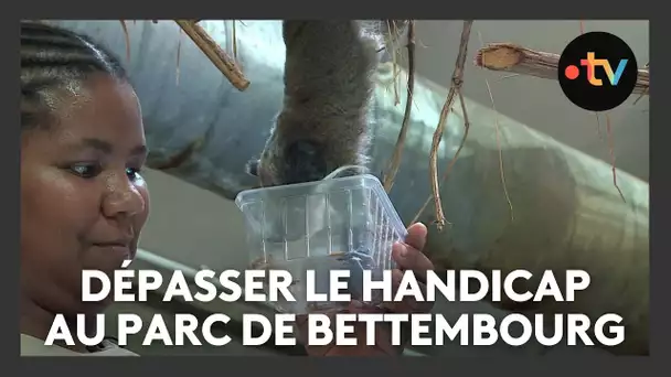 Inclusion : dépasser le handicap au parc de Bettembourg (Luxembourg)