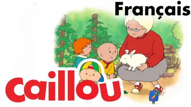 Caillou FRANÇAIS - La tirelire (S03E02) | conte pour enfant | Caillou en Français