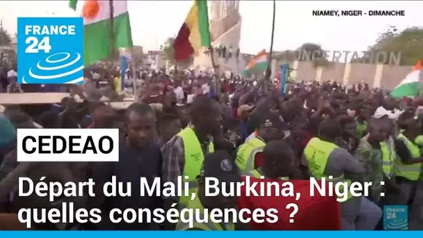 Le Mali, le Burkina Faso et le Niger quittent la CEDEAO • FRANCE 24