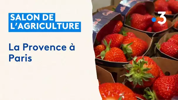 Salon de l'agriculture : la Provence à Paris