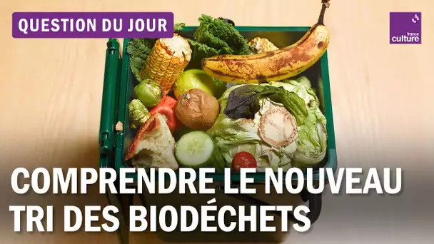 Biodéchets : le tri et la collecte parviendront-ils à s'imposer ?