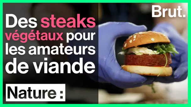 Beyond Meat : les steaks végétaux pour les amateurs de viande