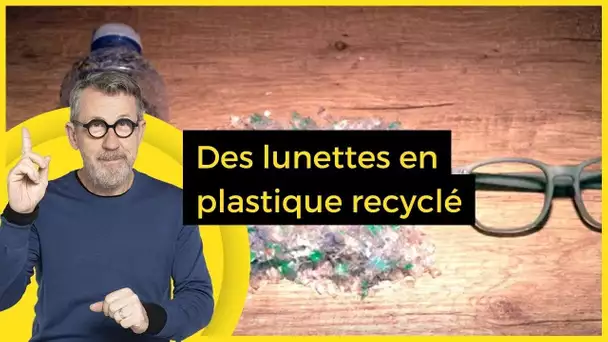 Des lunettes en plastique recyclé - C Jamy