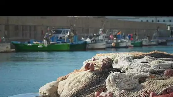 Trois pays de l'Adriatique luttent ensemble contre les filets de pêche fantômes