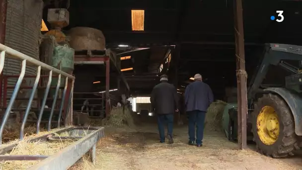 Revalorisation des petites retraites agricoles : de 75 à 85 % du SMIC pour les carrières complètes