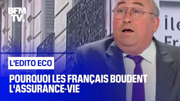 Pourquoi les Français boudent l'assurance-vie