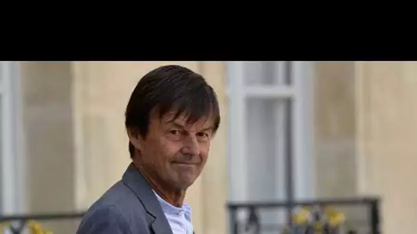 La mise en garde de Hulot à Jadot