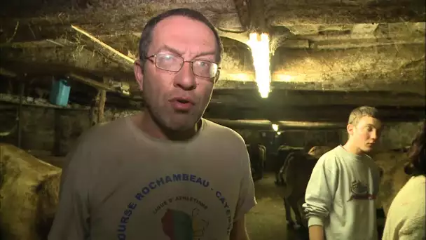 Agriculteur en temps de gel c'est une course contre la montre