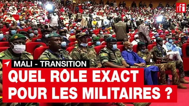 Mali : poursuite des consultations en vue de la formation du futur gouvernement