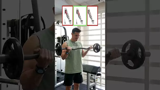 Big biceps exercises 💪