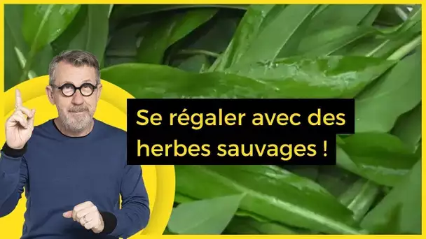 Se régaler avec des herbes sauvages !  - C Jamy