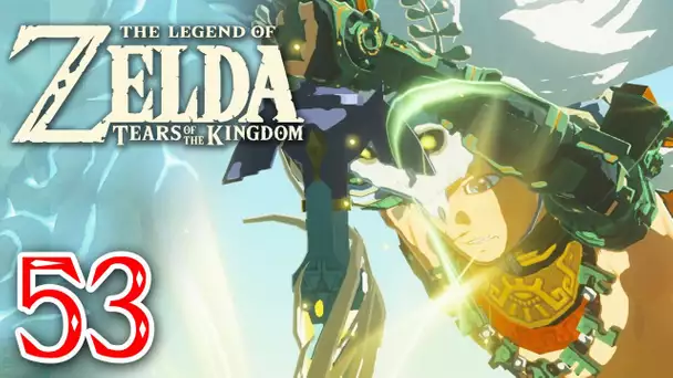Zelda Tears of the Kingdom #53 | La lame purificatrice