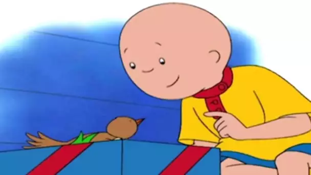 Caillou en Français | Caillou et le Petit Oiseau | dessin animé | WildBrain