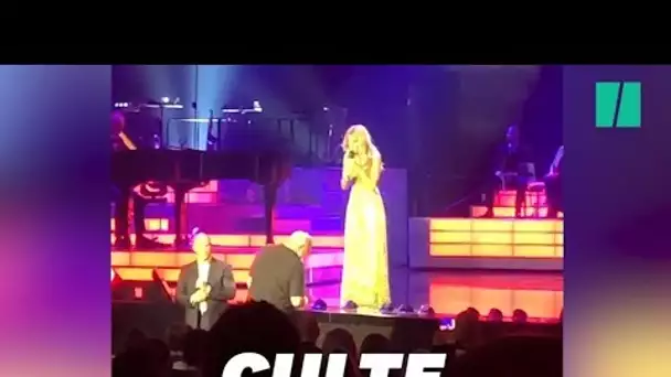 Céline Dion a interrompu son dernier concert à las Vegas pour une improbable raison