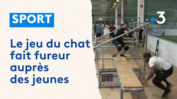 Le jeu du chat, un véritable sport !