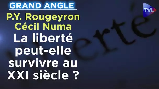 La liberté peut-elle survivre au XXI siècle ? - Le Grand Angle de P.-Y. Rougeyron avec Cécil Numa