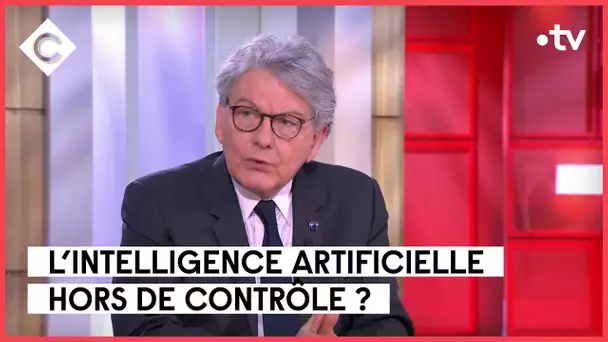 Thierry Breton, Jean-François Amadieu et Corentin Sellin - C à vous - 31/03/2023