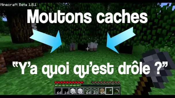 Vidéo commentée sur Minecraft en compagnie de NGZ ! "Bah y'a quoi qu'est drôle ?"