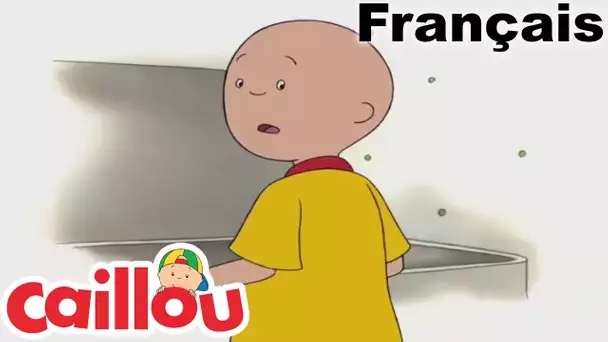 Caillou en Français - Qui Le Trouve Le Garde! | conte pour enfant |  dessin animé complet