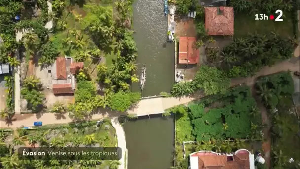 Inde : Alleppey, Venise sous les tropiques