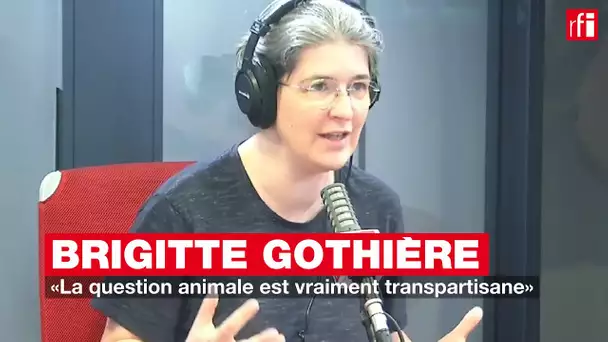 Brigitte Gothière: «La question animale est vraiment transpartisane»