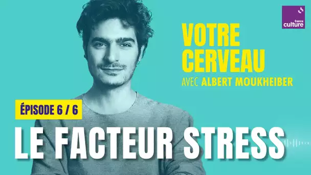 Votre cerveau perd les pédales : le facteur stress, avec Albert Moukheiber