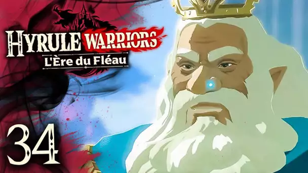 Hyrule Warriors : l'Ère du Fléau #34 : LE SECRET DU ROI D'HYRULE !