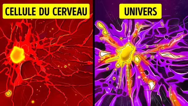 L’univers est structuré comme ton cerveau, et 47 autres faits géniaux sur l’espace
