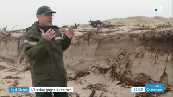 Ile d'Oléron : protection de la dune pour lutter contre l'érosion