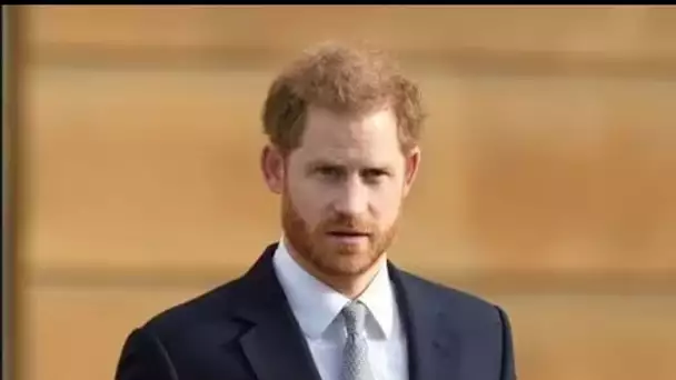 Le prince Harry doit "renoncer" à la consommation de drogue sur le visa américain pour éviter l'expu