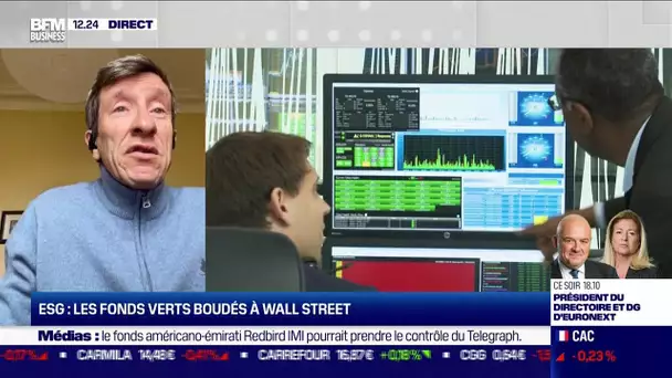 Alain Pitous (ESG) : ESG, les fonds verts boudés à Wall Street