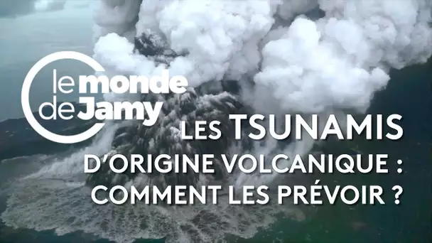 🌋🌊 Le glissement du Piton de la Fournaise pourrait-il créer un tsunami ?